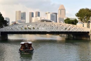 Singapore: Private 3-4-6-8 Hour Customized Singapore Tour