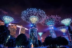 Singapore: Private 3-4-6-8 Hour Customized Singapore Tour