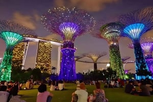 Singapore: Private 3-4-6-8 Hour Customized Singapore Tour