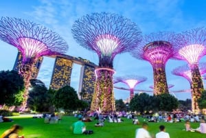 Singapore: Private 3-4-6-8 Hour Customized Singapore Tour