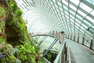 Singapore: Private 3-4-6-8 Hour Customized Singapore Tour