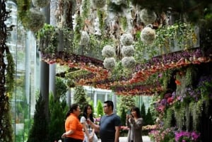 Singapore: Private 3-4-6-8 Hour Customized Singapore Tour