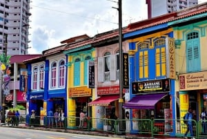 Singapore: Private 3-4-6-8 Hour Customized Singapore Tour