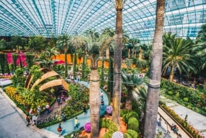 Singapur: Private 3-4-6-8 stündige Singapur Tour nach Maß