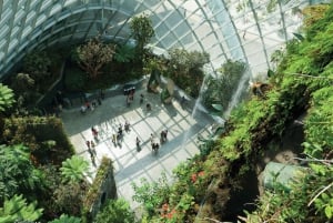 Singapur: Private 3-4-6-8 stündige Singapur Tour nach Maß