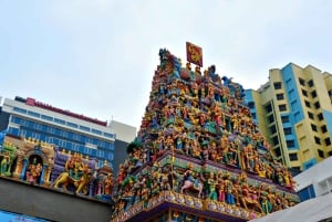 Singapur: Private 3-4-6-8 stündige Singapur Tour nach Maß