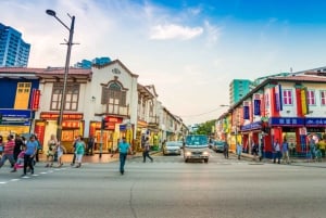 Singapur: Private 3-4-6-8 stündige Singapur Tour nach Maß