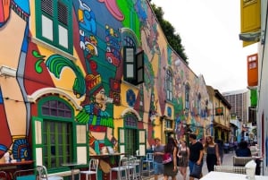 Singapur: Private 3-4-6-8 stündige Singapur Tour nach Maß