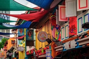 Singapur: Private 3-4-6-8 stündige Singapur Tour nach Maß