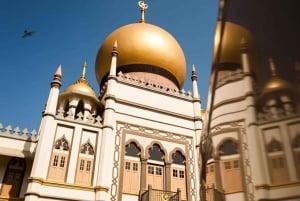 Singapur: Private 3-4-6-8 stündige Singapur Tour nach Maß