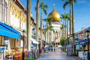 Singapur: Private 3-4-6-8 stündige Singapur Tour nach Maß