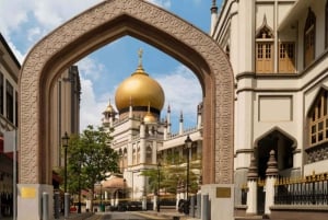 Singapur: Private 3-4-6-8 stündige Singapur Tour nach Maß