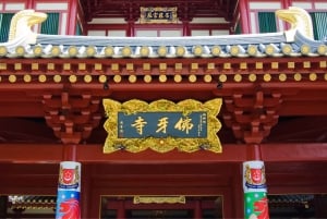 Singapur: Private 3-4-6-8 stündige Singapur Tour nach Maß