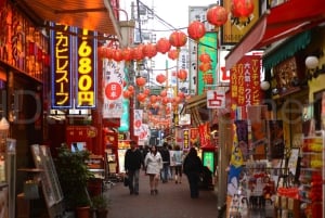 Singapur: Private 3-4-6-8 stündige Singapur Tour nach Maß