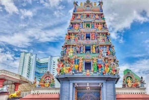 Singapur: Private 3-4-6-8 stündige Singapur Tour nach Maß