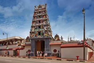 Singapur: Private 3-4-6-8 stündige Singapur Tour nach Maß