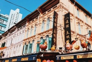 Singapur: Private 3-4-6-8 stündige Singapur Tour nach Maß