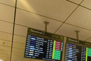 Singapore: Privat ankomst og ≥4-timers tilpasset bilcharter