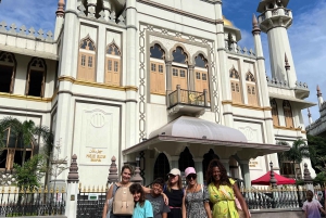 Singapur: Private Auto Tour mit lokalem Fahrer/Guide