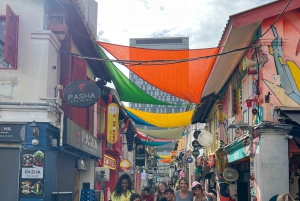 Singapur: Private Auto Tour mit lokalem Fahrer/Guide