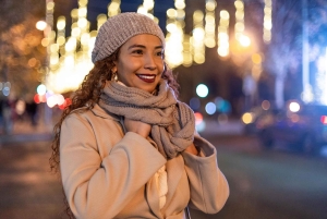 Singapur: tour a pie privado de Navidad