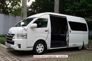 Singapore in Comfort: Private Minivan Tour Tailored for You
