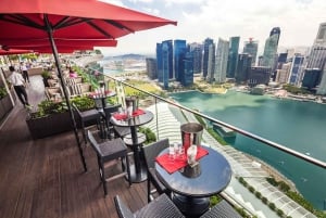 Singapore in Comfort: Private Minivan Tour Tailored for You