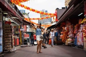 Singapore in Comfort: Private Minivan Tour Tailored for You