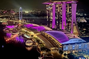 Singaporen olennaiset nähtävyydet: 4 tunnin yksityiskierros