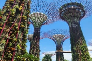 Singaporen olennaiset nähtävyydet: 4 tunnin yksityiskierros