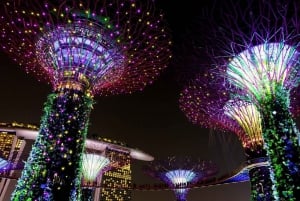 Singapore: Private Customizable Singapore Tour