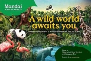 Singapur: Private, individuell anpassbare Tour mit ortskundigem Guide