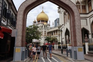 Best Singapore Private Customized Tour with a Local Guide