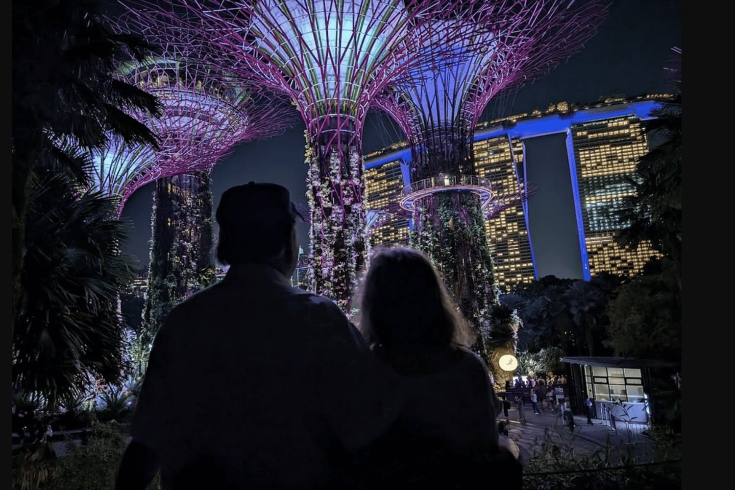Singapura: Tour particular personalizado com transporte