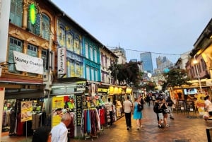 Singapore: Private Customized Tour (with transportation)