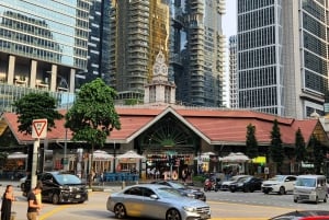 Singapore: Private Customized Tour (with transportation)