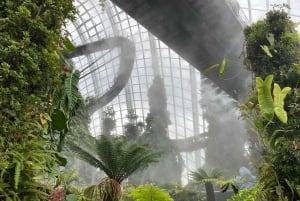 Singapura: Tour particular personalizado com transporte