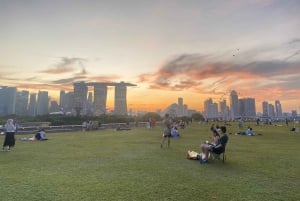Singapura: Tour particular personalizado com transporte