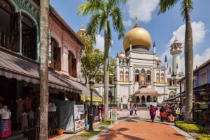 Culinaire tour door Singapore: Eet als een lokale bewoner met 10+ proeverijen