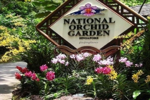 Singapore: Privat heldagstur på øen