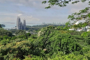 Singapore: Privat heldagstur på øen
