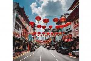 Singapore Cultural Car Tour: Chinatown/Haji Lane/Joo Chiat