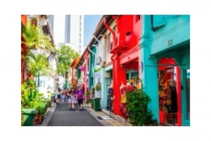 Singapore Cultural Car Tour: Chinatown/Haji Lane/Joo Chiat