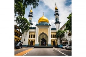 Singapore Cultural Car Tour: Chinatown/Haji Lane/Joo Chiat