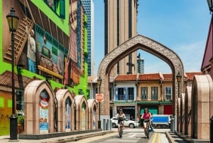 Singapore: Private Historical & Highlight City Bike Tour