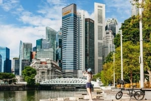 Singapore: Private Historical & Highlight City Bike Tour