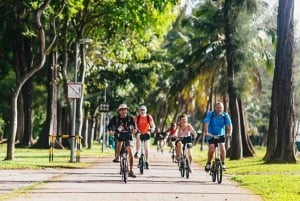 Singapore: Private Historical & Highlight City Bike Tour