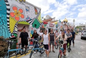 Singapore: Private Historical & Highlight City Bike Tour