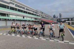 Singapore: Private Historical & Highlight City Bike Tour