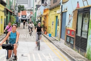 Singapore: Private Historical & Highlight City Bike Tour